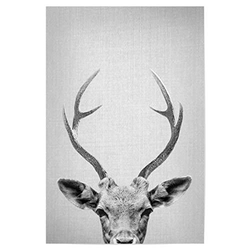 artboxONE Poster 30x20 cm Hirsch Tiere Deer - Black & White - Bild Animal Animals Antler von artboxONE