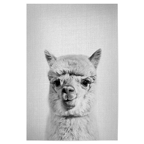 artboxONE Poster 30x20 cm Lama & Alpaka Tiere Alpaca - Black & White - Bild Animal Animal Llama von artboxONE