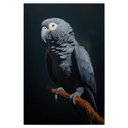 artboxONE Poster 30x20 cm Natur Afrikanischer Graupapagei - Bild graupapagei gemälde grau von artboxONE