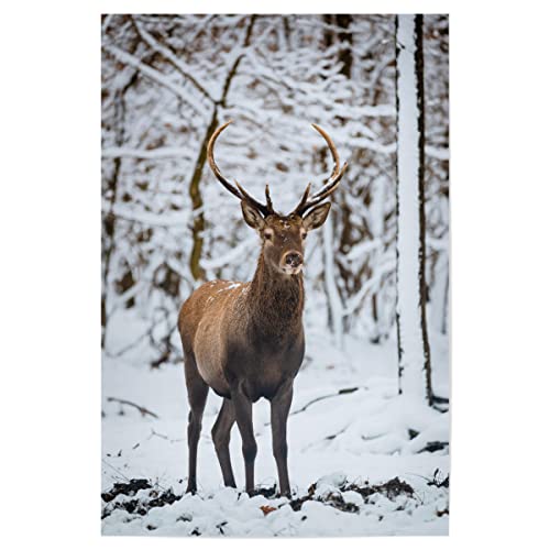 artboxONE Poster 30x20 cm Natur Deer in Nature hochwertiger Design Kunstdruck - Bild Hirsch bäume Deer von artboxONE