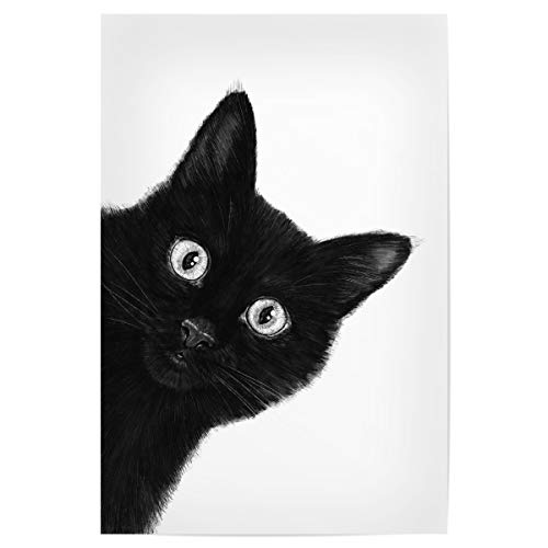 artboxONE Poster 30x20 cm Natur It's not me hochwertiger Design Kunstdruck - Bild cat cat Curious von artboxONE