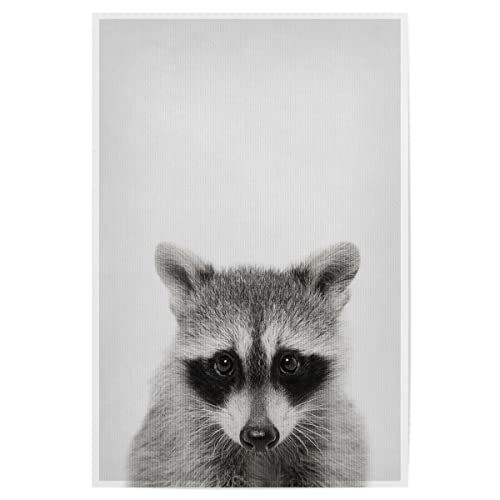 artboxONE Poster 30x20 cm Natur Little Racoon hochwertiger Design Kunstdruck - Bild Tier Racoon süß von artboxONE