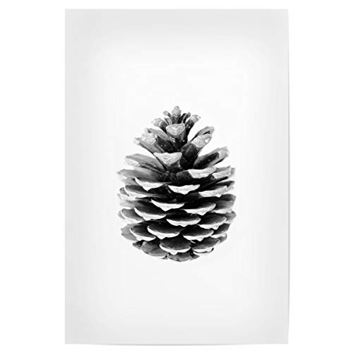 artboxONE Poster 30x20 cm Natur Pinecone hochwertiger Design Kunstdruck - Bild Pinecone Natur Nature von artboxONE