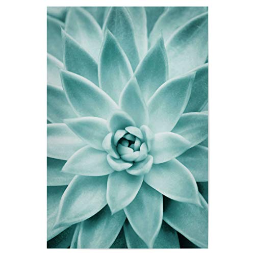 artboxONE Poster 30x20 cm Natur Succulent in Mint hochwertiger Design Kunstdruck - Bild Arcadia Fotografie Kaktus von artboxONE