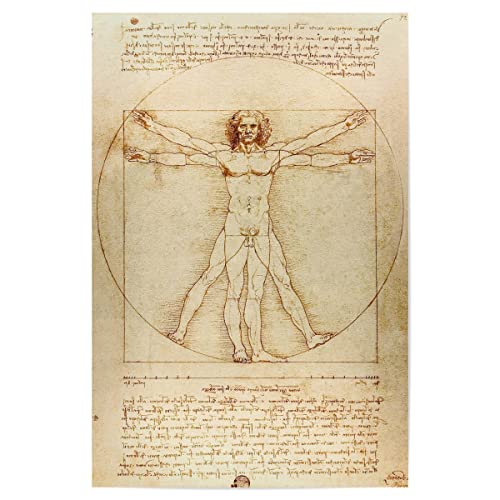 artboxONE Poster 30x20 cm Natur Vitruvianischer Mensch - Bild vitruvianischer Mensch bildmaterial da Vinci von artboxONE