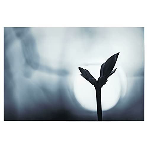 artboxONE Poster 30x20 cm Natur Waiting for The Night hochwertiger Design Kunstdruck - Bild knospe knospe Macro von artboxONE