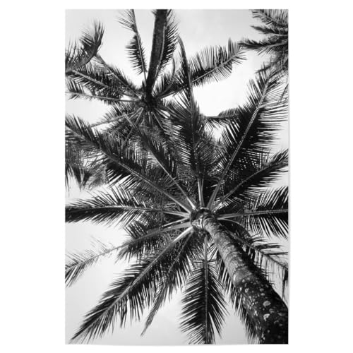 artboxONE Poster 30x20 cm Palmen Natur Palm Tree Photography hochwertiger Design Kunstdruck - Bild Palm Coast Palm artboxONE Poster 30x20 cm Palmen Natur Palm Tree Photography hochwertiger Design Kunstdruck - Bild Palm Coast Palm von artboxONE