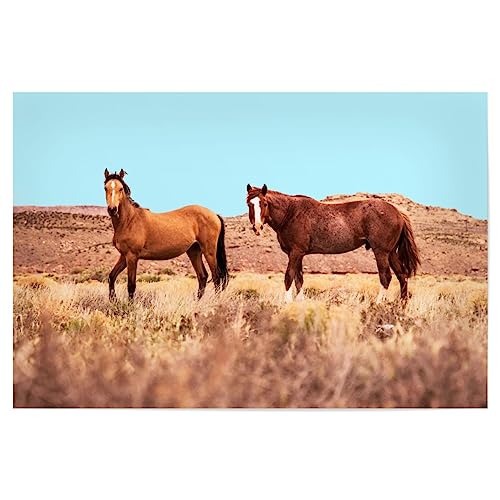 artboxONE Poster 30x20 cm Pferde Natur Horses hochwertiger Design Kunstdruck - Bild digital Color digital artboxONE Poster 30x20 cm Pferde Natur Horses hochwertiger Design Kunstdruck - Bild digital Color digital von artboxONE