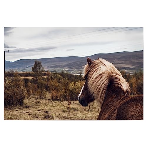 artboxONE Poster 30x20 cm Pferde Natur Wild Horse II hochwertiger Design Kunstdruck - Bild Pferd Landschaft Natur artboxONE Poster 30x20 cm Pferde Natur Wild Horse II hochwertiger Design Kunstdruck - Bild Pferd Landschaft Natur von artboxONE