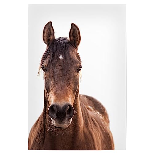 artboxONE Poster 30x20 cm Pferde Tiere Brown Horse hochwertiger Design Kunstdruck - Bild Pferd Hengst Pferd von artboxONE