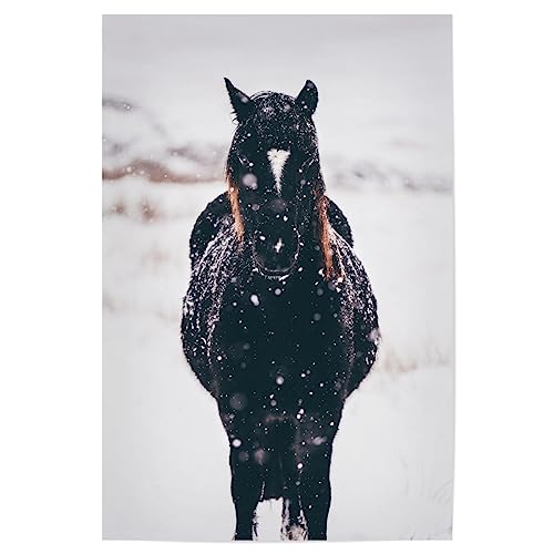 artboxONE Poster 30x20 cm Pferde Tiere Horse in The Snow hochwertiger Design Kunstdruck - Bild Horse Horse Winter von artboxONE