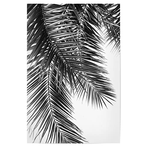 artboxONE Poster 30x20 cm Schwarz-weiß Natur Black and White Palm Leaves - Bild Palme Botanical botanisch von artboxONE