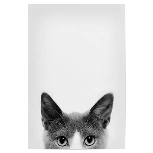 artboxONE Poster 30x20 cm Tiere Curious Cat hochwertiger Design Kunstdruck - Bild Katze Peeking Tier von artboxONE