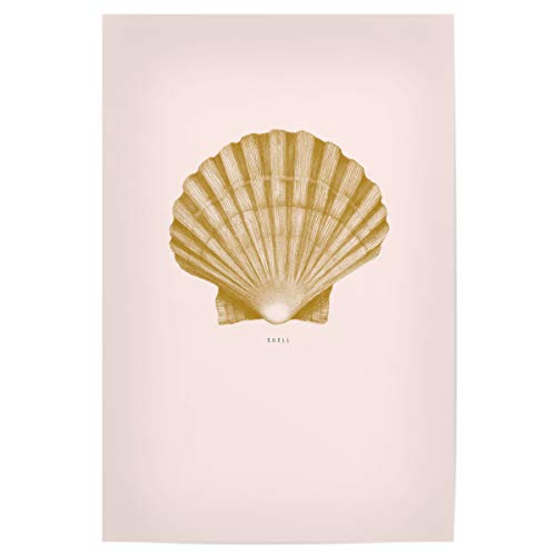artboxONE Poster 30x20 cm Unterwasser Beautiful Shell Light pink - Bild grankogle agern Beach von artboxONE