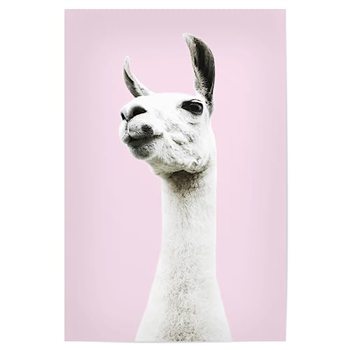 artboxONE Poster 45x30 cm Lama & Alpaka Tiere Pink Llama hochwertiger Design Kunstdruck - Bild Llama Animal Animals von artboxONE