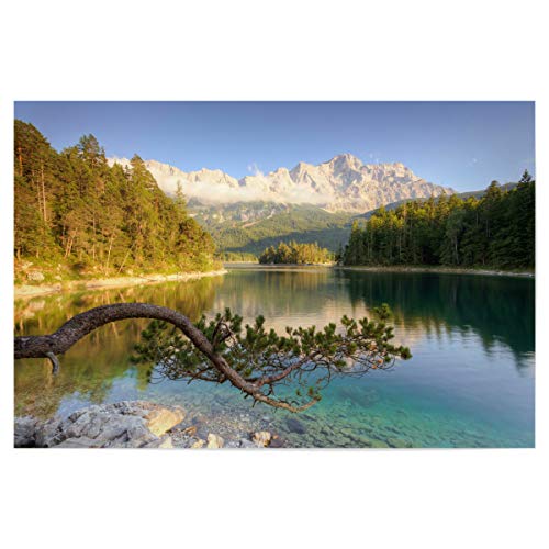 artboxONE Poster 45x30 cm Natur Am Eibsee in Bayern hochwertiger Design Kunstdruck - Bild Eibsee Baum Bayern von artboxONE