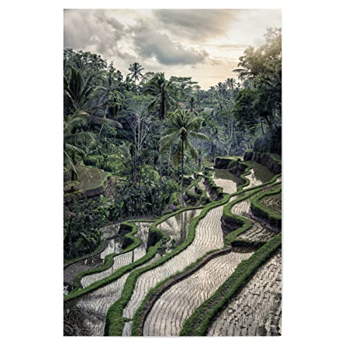 artboxONE Poster 45x30 cm Natur Bali Landscape hochwertiger Design Kunstdruck - Bild Rice Bali Destination von artboxONE