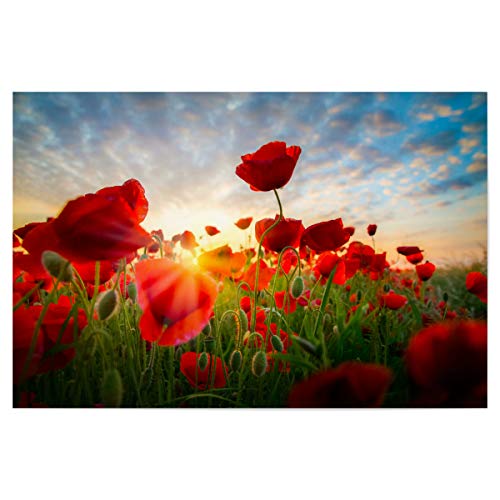 artboxONE Poster 45x30 cm Natur Poppies Sky hochwertiger Design Kunstdruck - Bild Poppies Blumenfeld blumenmeer von artboxONE