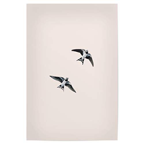 artboxONE Poster 45x30 cm Natur Schwalben im Flug hochwertiger Design Kunstdruck - Bild vögel Boho fliegen von artboxONE