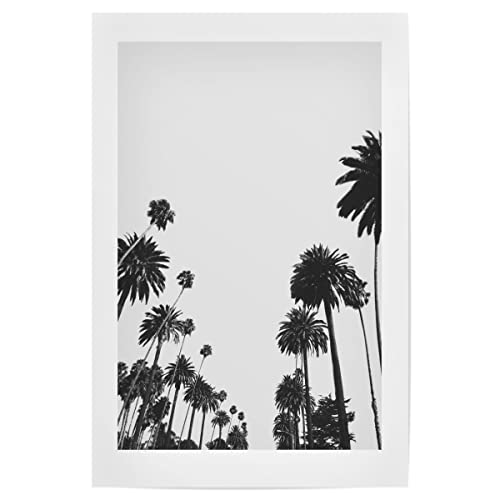 artboxONE Poster 45x30 cm Schwarz-weiß Natur California Palm Trees - Bild Palm los Angeles Palm von artboxONE