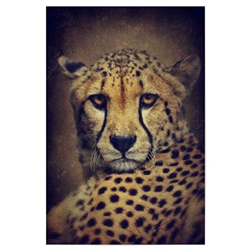 artboxONE Poster 45x30 cm Tiere Gepardinnen Portrait hochwertiger Design Kunstdruck - Bild Gepard Gepard gepardin von artboxONE