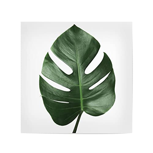 artboxONE Poster 50x50 cm Natur Tropical Green Leaf hochwertiger Design Kunstdruck - Bild Blatt Monstera palmblätter von artboxONE