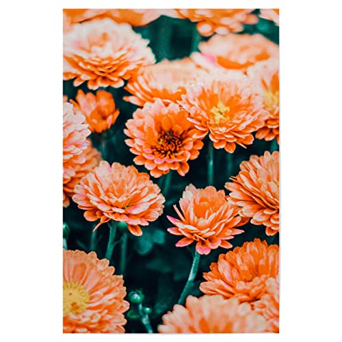 artboxONE Poster 60x40 cm Blumen Floral February hochwertiger Design Kunstdruck - Bild Flower Flower von artboxONE