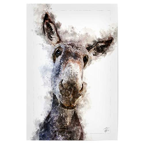 artboxONE Poster 60x40 cm Natur Grauer Esel hochwertiger Design Kunstdruck - Bild Tier Animal Europa von artboxONE