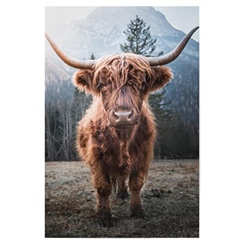 artboxONE Poster 60x40 cm Natur Highland Cow in Nature hochwertiger Design Kunstdruck - Bild Highland Berge Cow von artboxONE