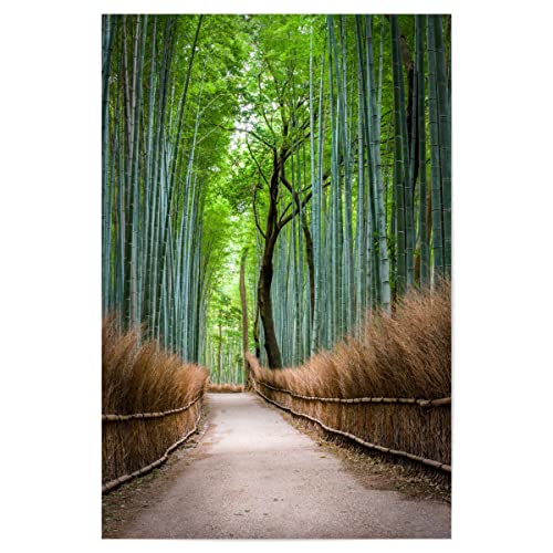 artboxONE Poster 60x40 cm Natur Natur Bambuswald in Arashiyama, Japan - Bild arashiyama Asien Bambus von artboxONE
