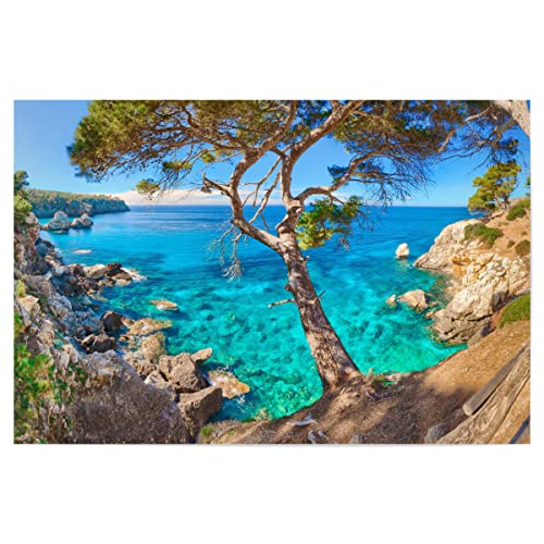 artboxONE Poster 60x40 cm Natur Natur Mallorca Cala Deia hochwertiger Design Kunstdruck - Bild küste Baum felsen von artboxONE