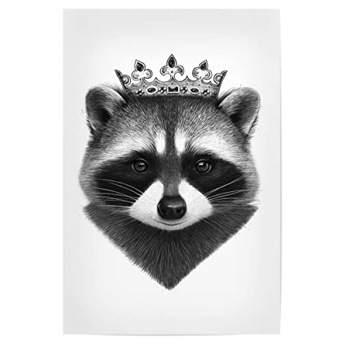 artboxONE Poster 60x40 cm Tiere King Raccoon hochwertiger Design Kunstdruck - Bild Raccoon Animals Art von artboxONE