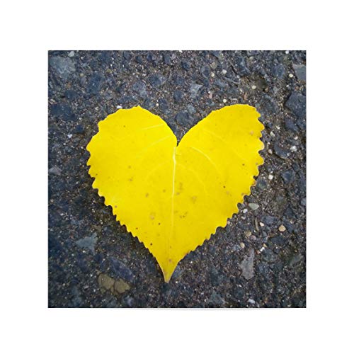 artboxONE Poster 60x60 cm Natur Yellow Leaf Heart hochwertiger Design Kunstdruck - Bild Herz gelb Heart von artboxONE