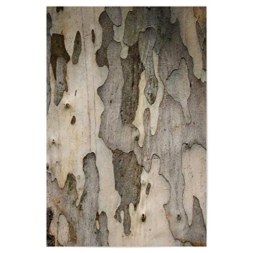artboxONE Poster 75x50 cm Abstrakt Baumrinde Muster hochwertiger Design Kunstdruck - Bild Baum Baum baumrinde von artboxONE
