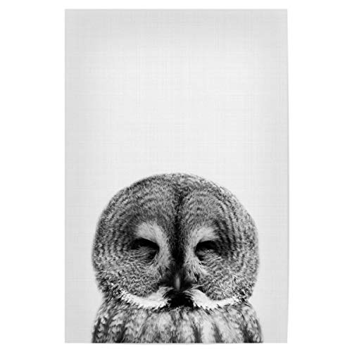 artboxONE Poster 75x50 cm Für Kinder Owl bw - Bild Eulen-Druck Eulen-Druck Kaninchen-Druck von artboxONE