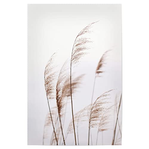 artboxONE Poster 75x50 cm Natur Modern Minimalist Plant - Bild modern Plant Minimalist Art minimalistisch von artboxONE