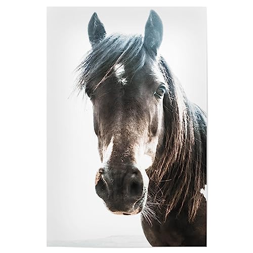 artboxONE Poster 75x50 cm Pferde Tiere Brown Horse Head Portrait - Bild Horse Animal Portrait Animals von artboxONE