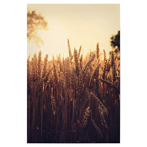 artboxONE Poster 90x60 cm Natur Goldener Weizen hochwertiger Design Kunstdruck - Bild weizen Getreide Landwirtschaft von artboxONE