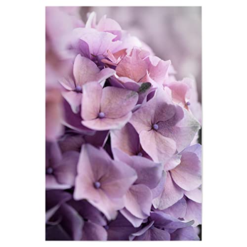 artboxONE Poster 90x60 cm Natur Hortensie Blüten Altrosa hochwertiger Design Kunstdruck - Bild Blume Blume blüte von artboxONE