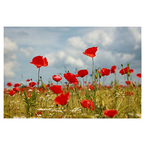 artboxONE Poster 90x60 cm Natur Mohnblumen und Kamille - Bild Mohnblumen Florale Fotografie gerste von artboxONE