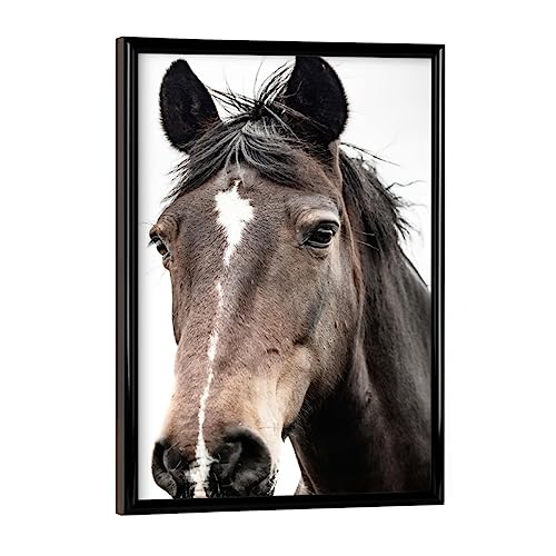 artboxONE Poster mit schwarzem Rahmen 18x13 cm Natur Brauner Pferdekopf - Bild pferdedruck von artboxONE