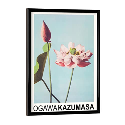 artboxONE Poster mit schwarzem Rahmen 18x13 cm Natur Lotusblumen - Ogawa Kazumasa - Bild Japan Ausstellung Blumen von artboxONE