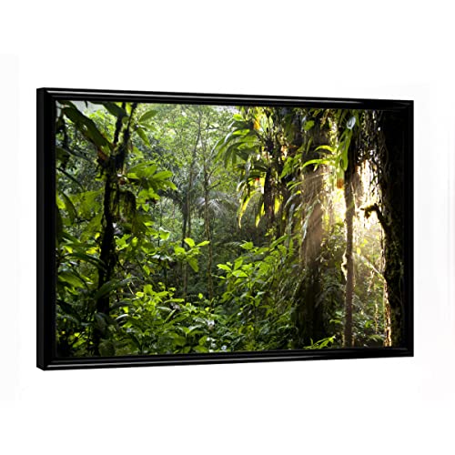 artboxONE Poster mit schwarzem Rahmen 18x13 cm Natur Sonnenlicht im Dschungel - Bild Dschungel Costa rica Dschungel von artboxONE