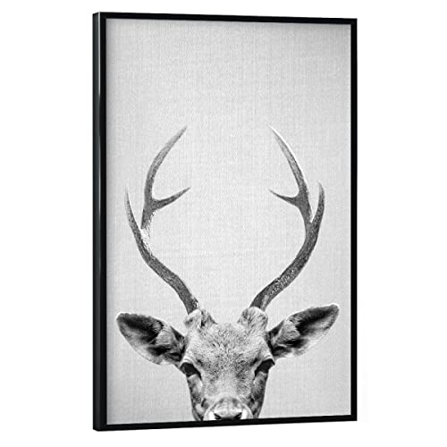 artboxONE Poster mit schwarzem Rahmen 30x20 cm Hirsch Tiere Deer - Black & White - Bild Animal Animals Antler von artboxONE