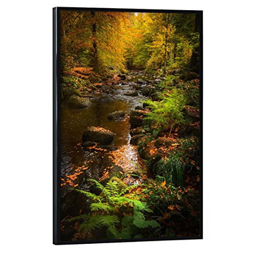 artboxONE Poster mit schwarzem Rahmen 30x20 cm Natur Bunter Harz - Bild Harz blätter Bode von artboxONE