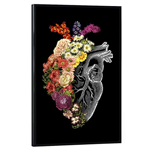 artboxONE Poster mit schwarzem Rahmen 30x20 cm Natur Flower Heart Spring - Bild Vintage anatomisches Herz Blumen von artboxONE