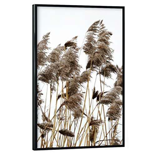 artboxONE Poster mit schwarzem Rahmen 30x20 cm Natur Pampas Gras, helle Naturtöne - Bild Gras beige botanik von artboxONE