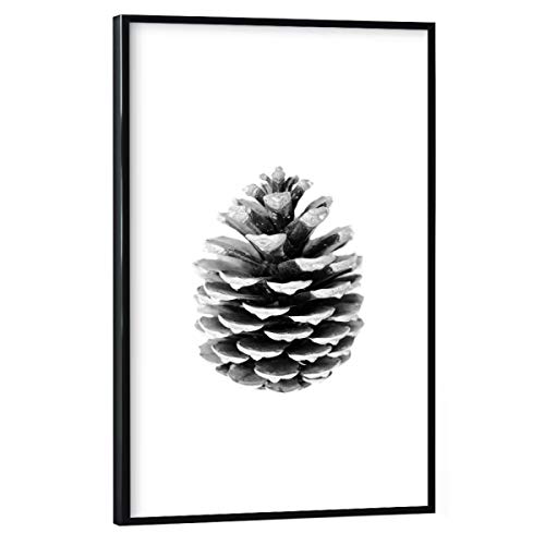 artboxONE Poster mit schwarzem Rahmen 30x20 cm Natur Pinecone - Bild Pinecone Natur Nature von artboxONE