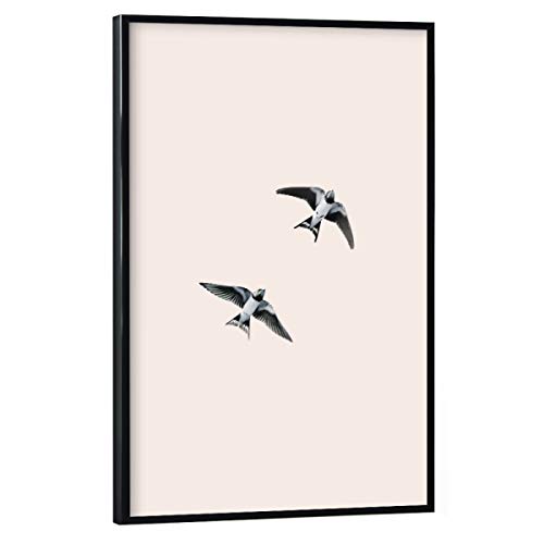 artboxONE Poster mit schwarzem Rahmen 30x20 cm Natur Schwalben im Flug - Bild vögel Boho fliegen von artboxONE
