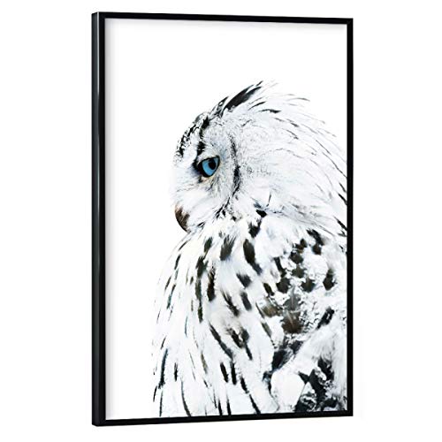 artboxONE Poster mit schwarzem Rahmen 30x20 cm Natur White Owl - Bild owl Black and White Eule von artboxONE